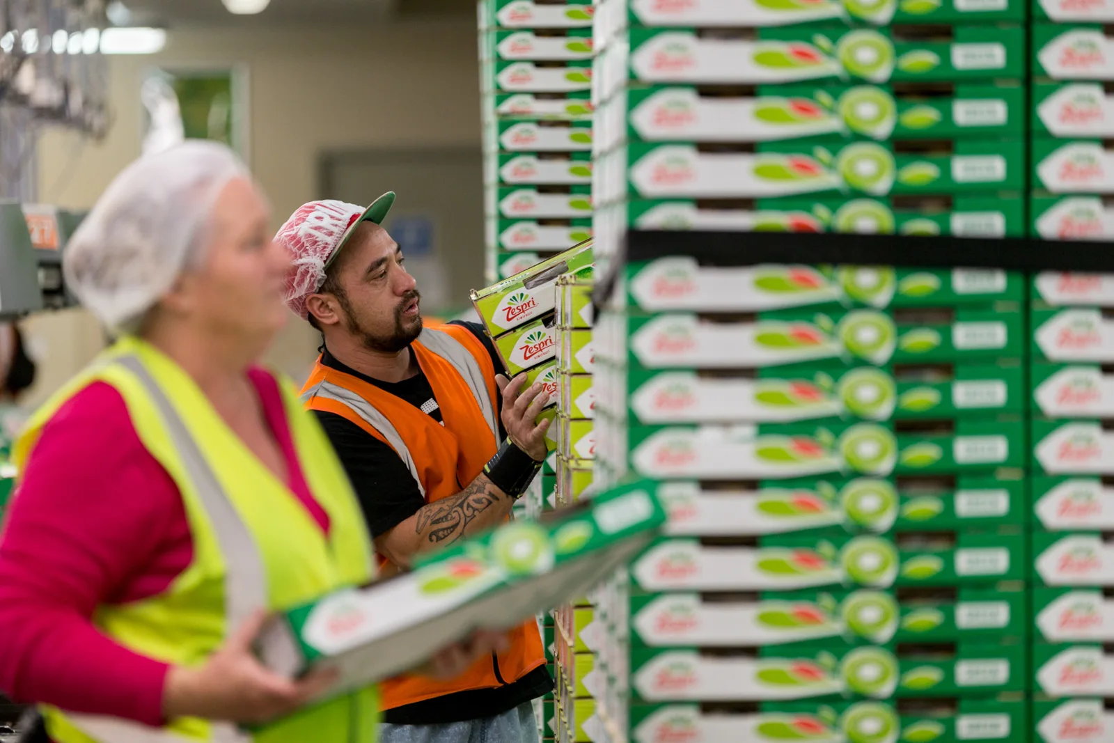 Packhouse workers beside stacks of kiwifruit cartons